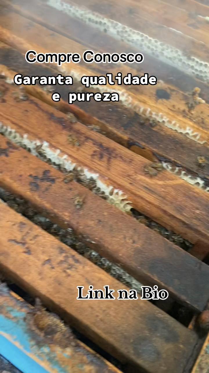 @Ana Paula Bordinhao