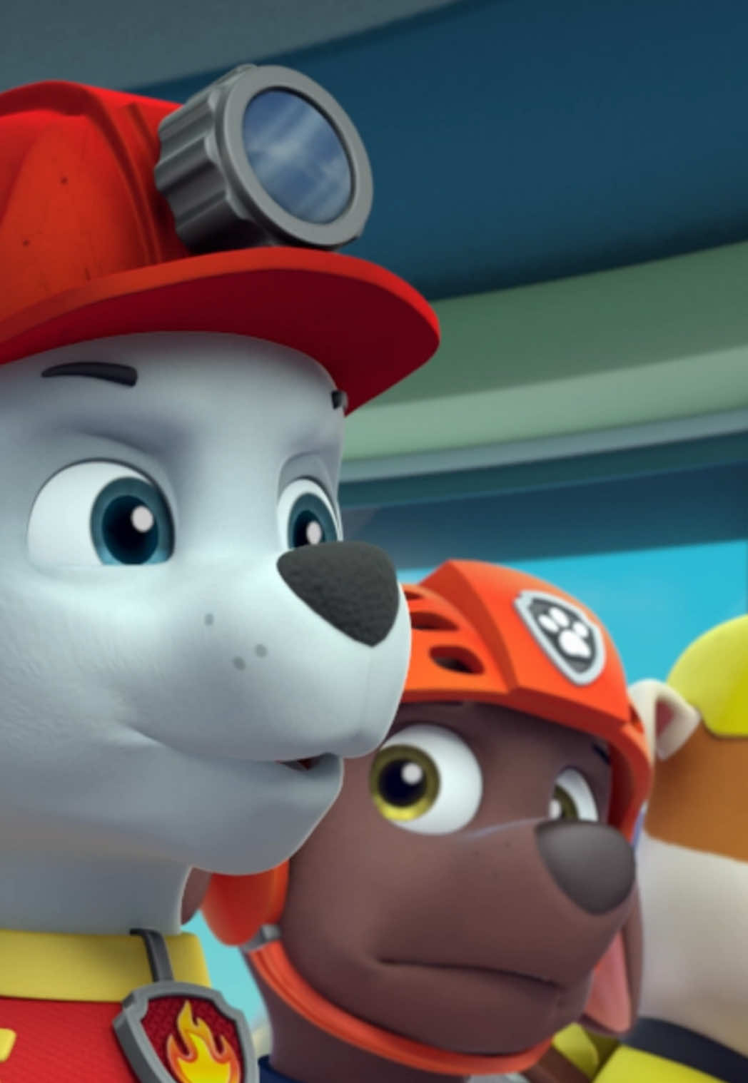 @pawpatrol
