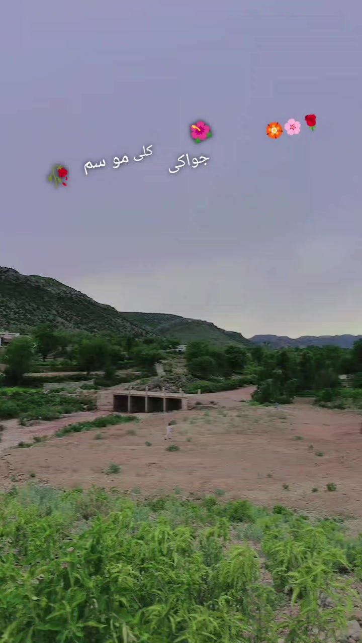 @Faizan _khan 368
