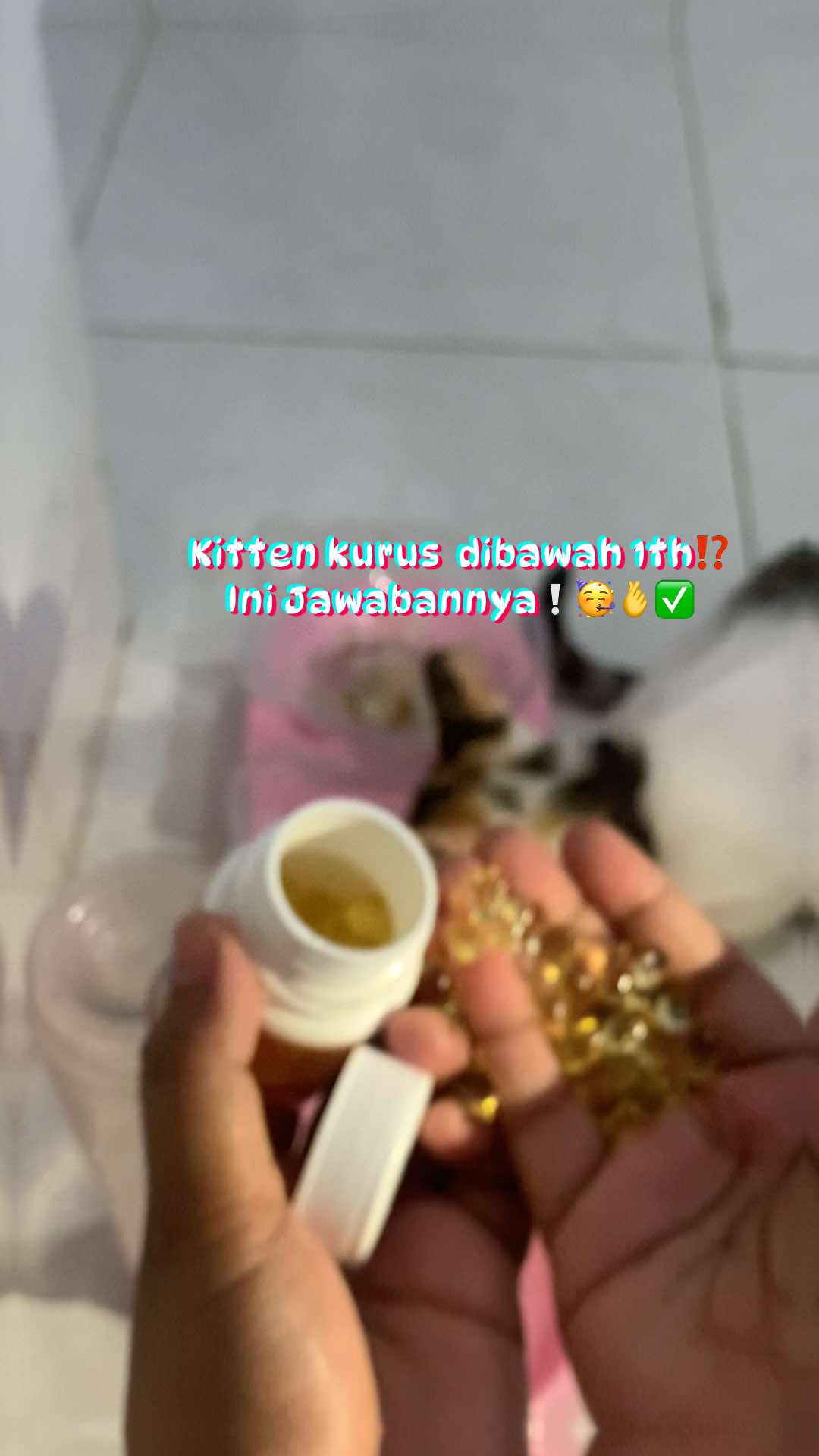@bejaminsorui