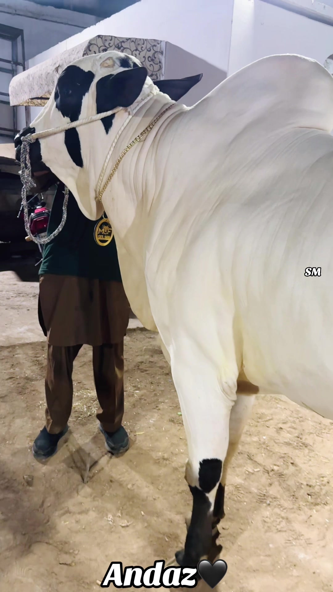 @Sheikh Moaeed &spades;️