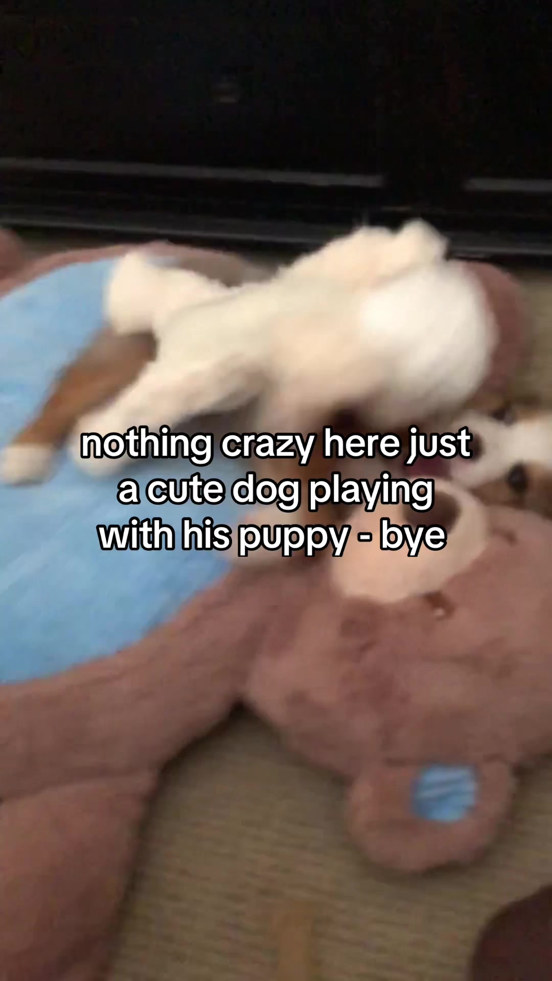 @thehappypack
