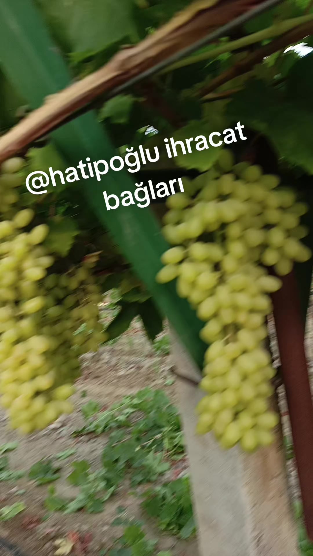 @Hatice altinkaynak