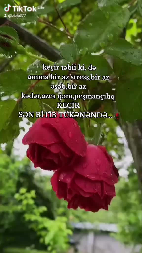 @vardis_bibila♡