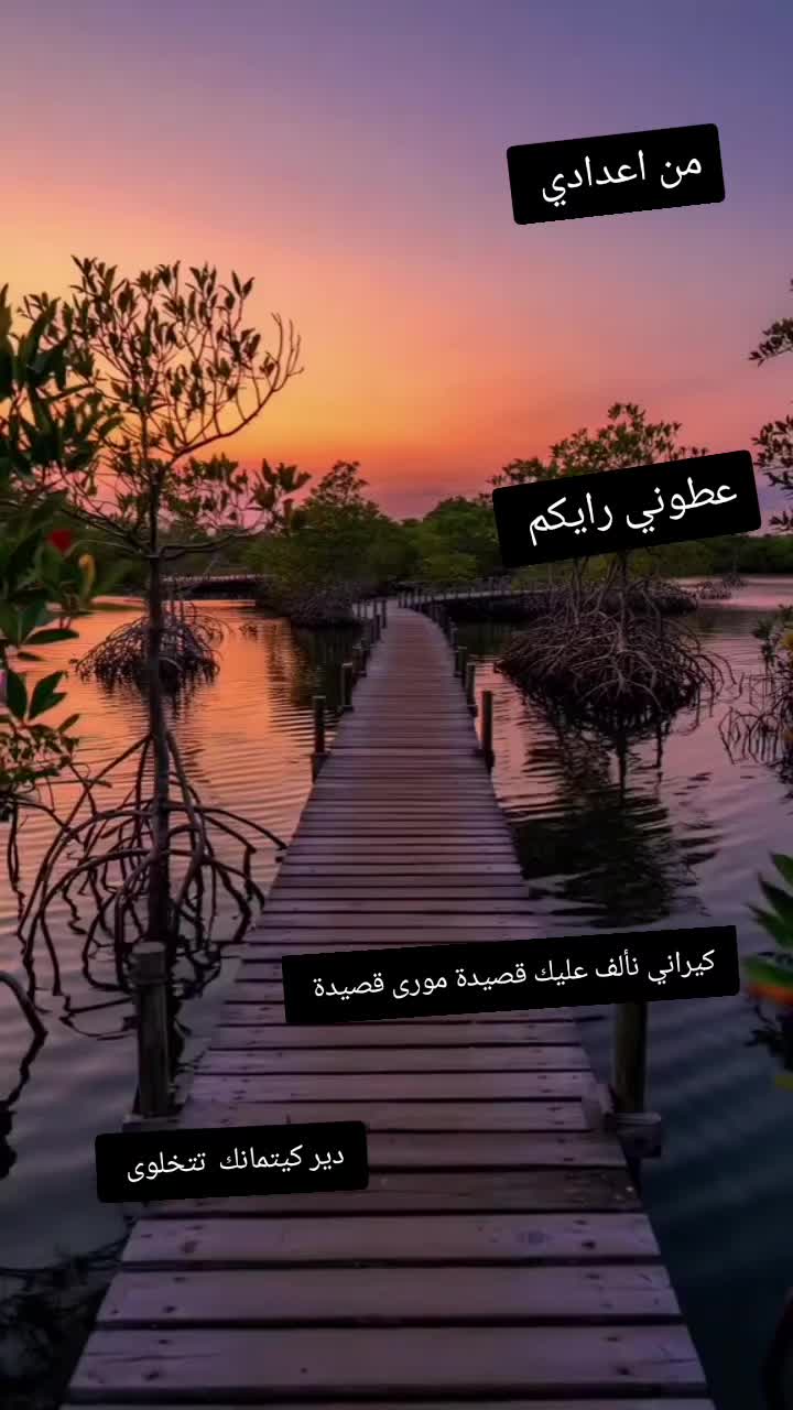 @💎خلوي الليالي💎🫴🫶