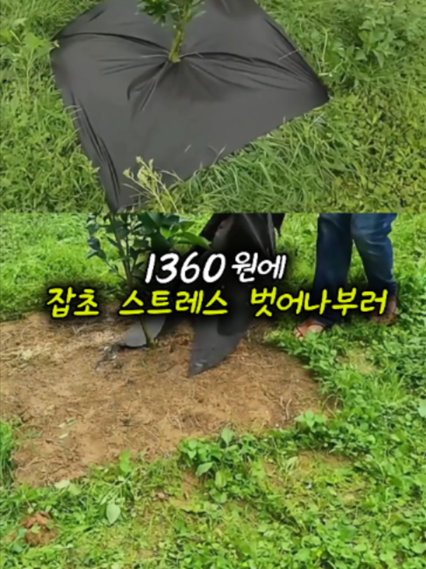 @부러쇼핑