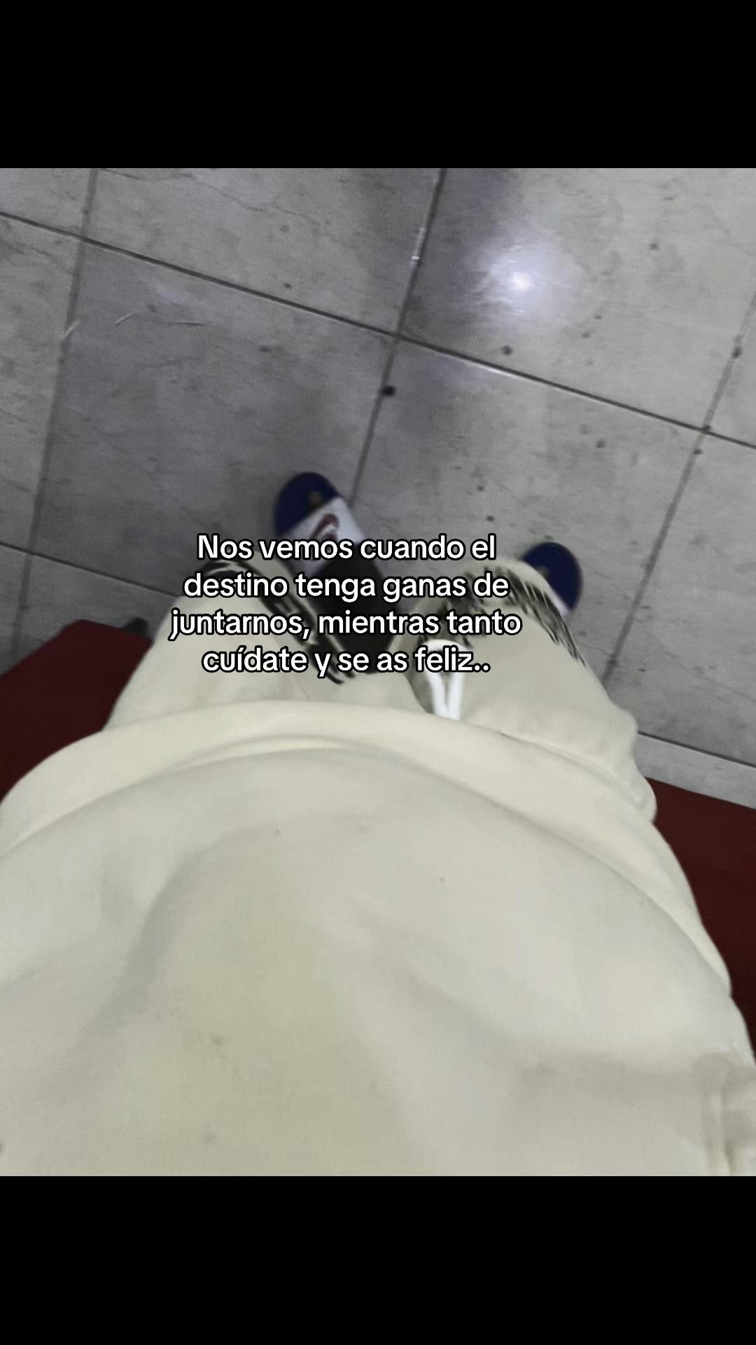 @Moquito 🦟👣