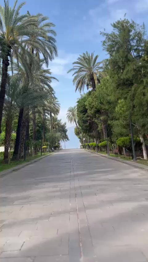 @Erdoğan CiN
