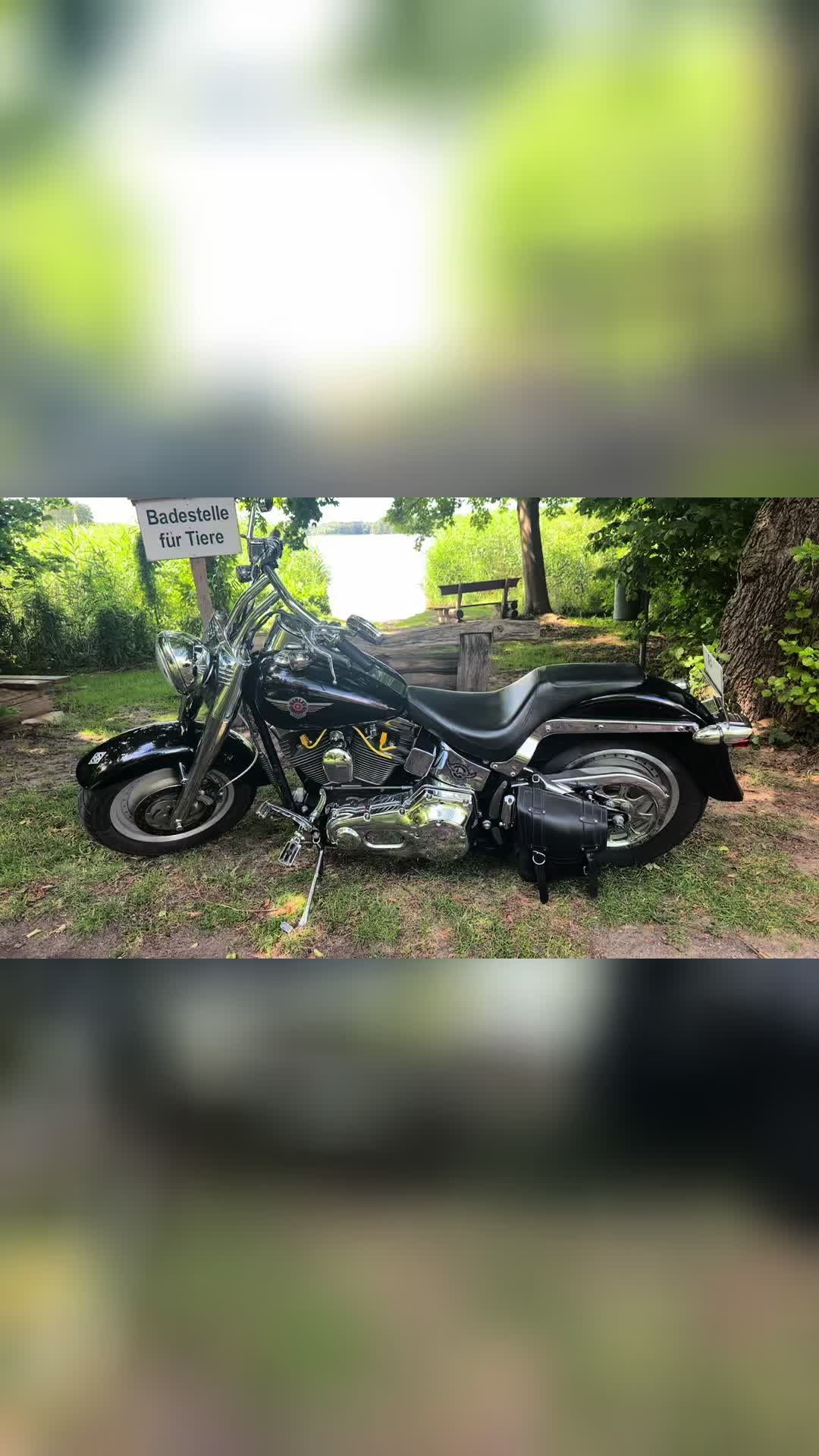 @d.d.harley