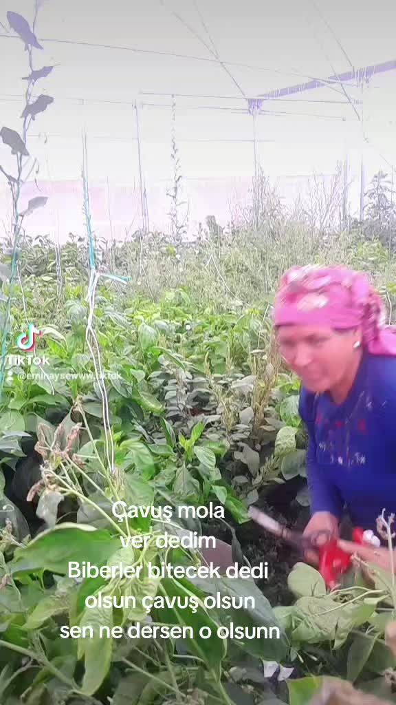 @❤️Emin ❤️ Ayşe Ilık ❤️