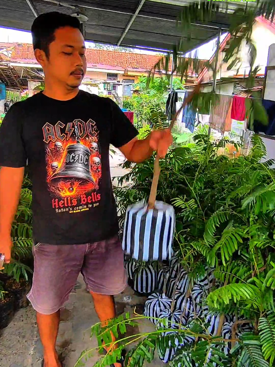 @PUCUK HIJAU🌿