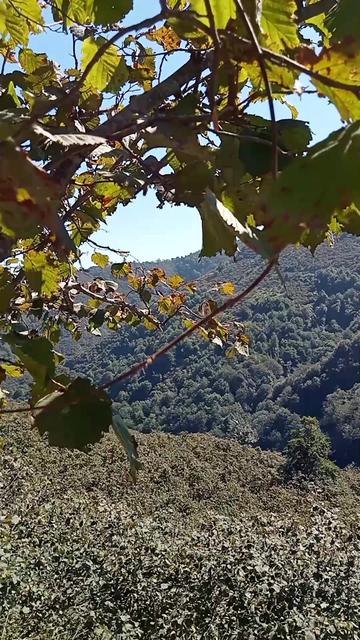 @❄️kış güneşi🌞