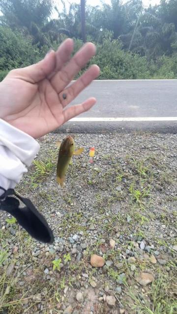 @LADY_ANGLER_TAPIN 🎣