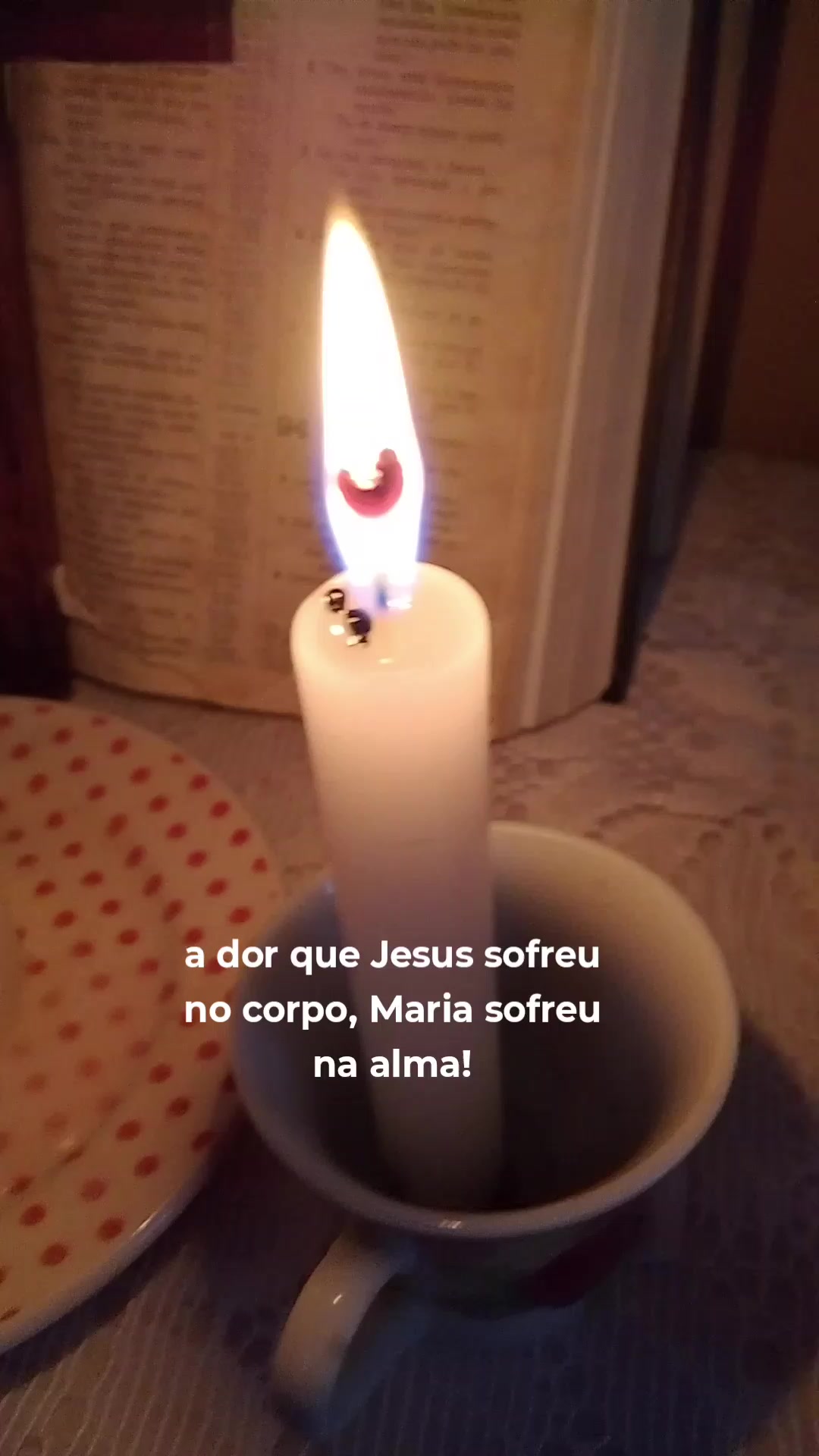 @Gabi soares