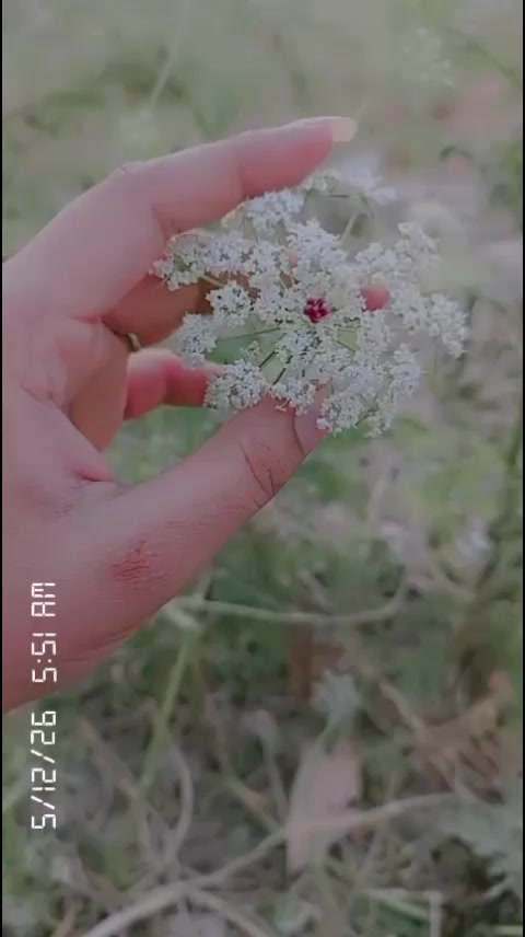 @sweet girl