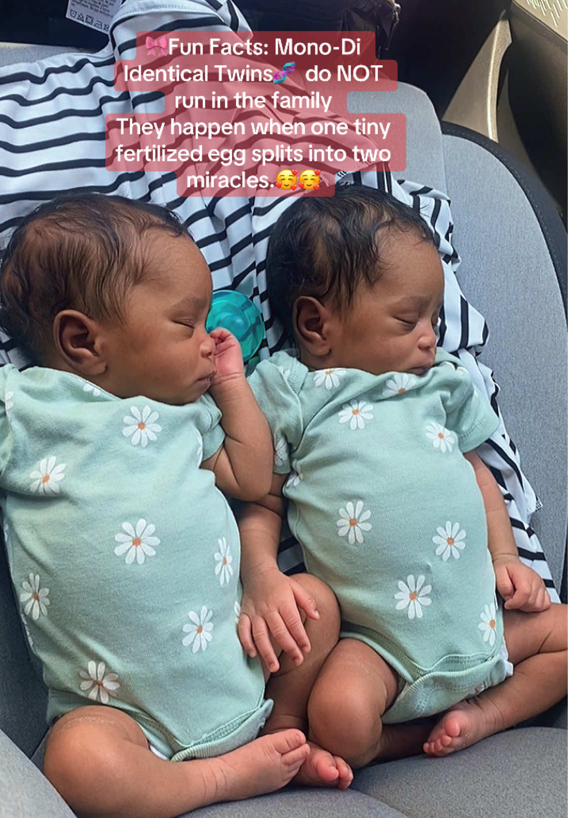 @twintasticpartyofsix