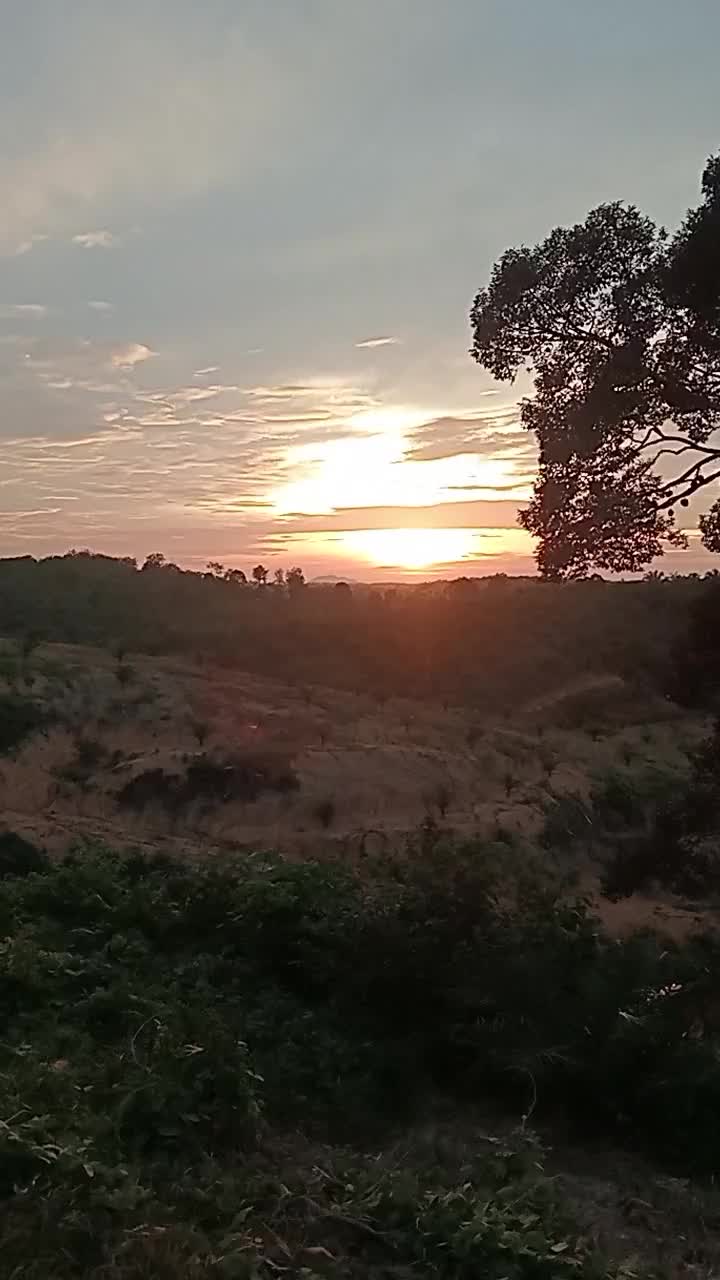@ulek bulu
