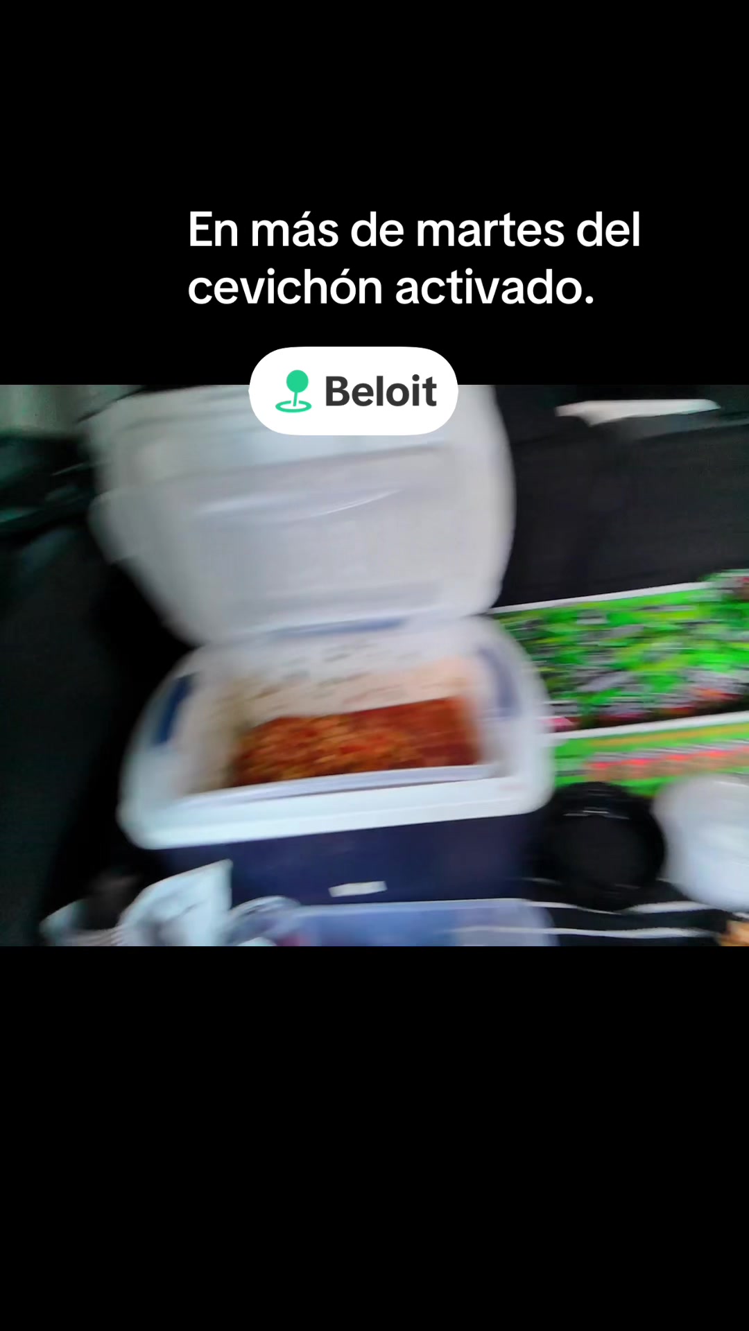 @elcevichon