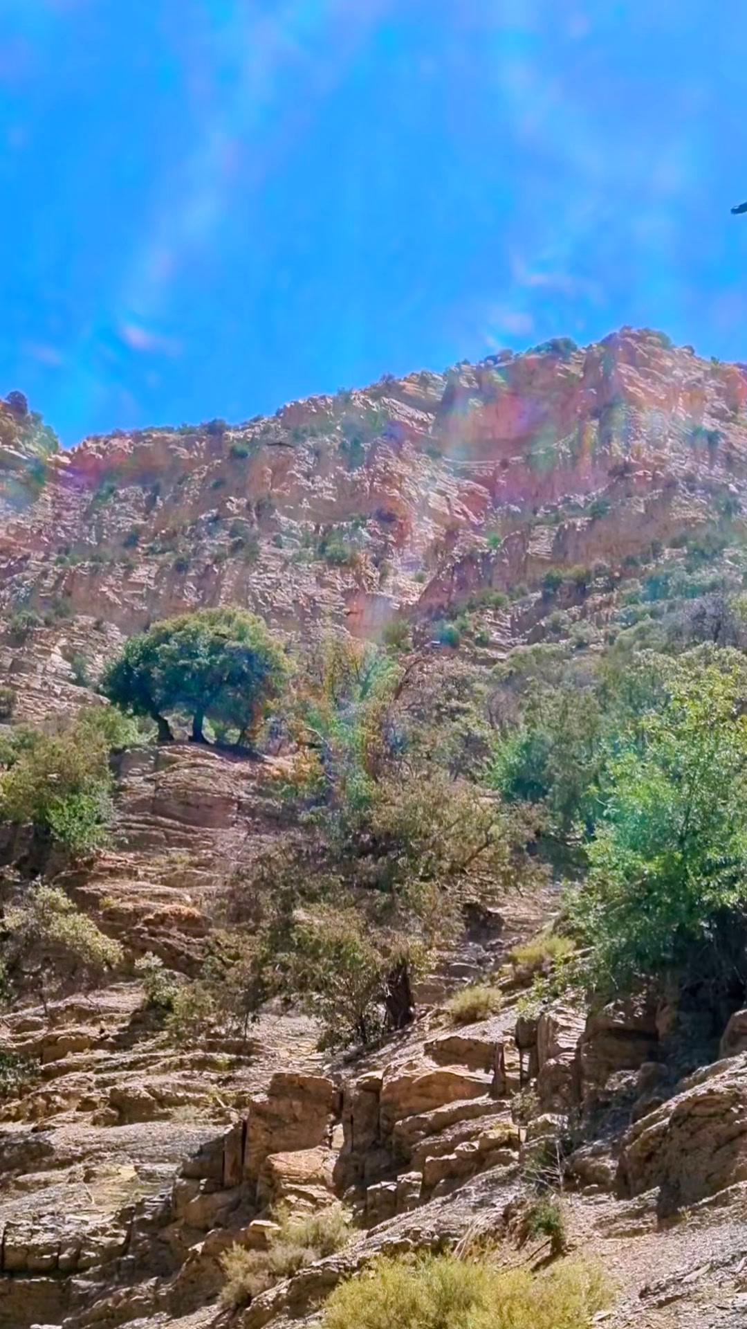 @amazigh@arsliy