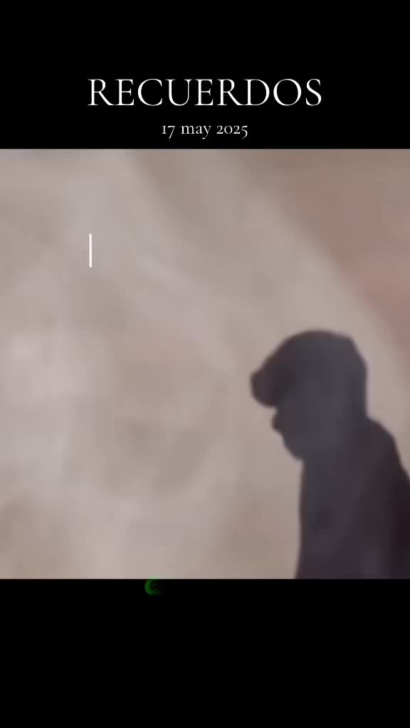 @Alejandro🐺te🦅motiva