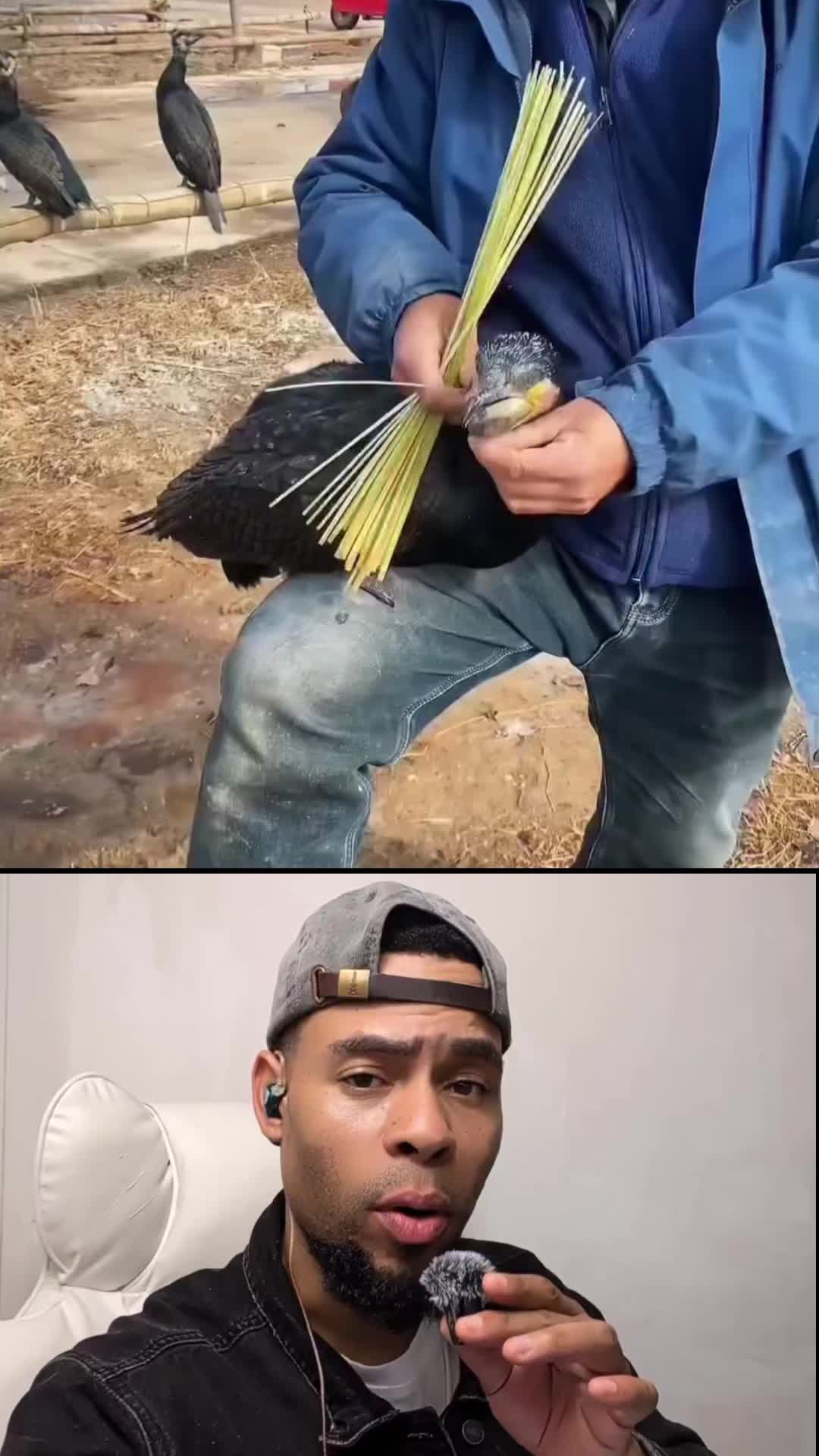 @JEFF JEUDY🧢