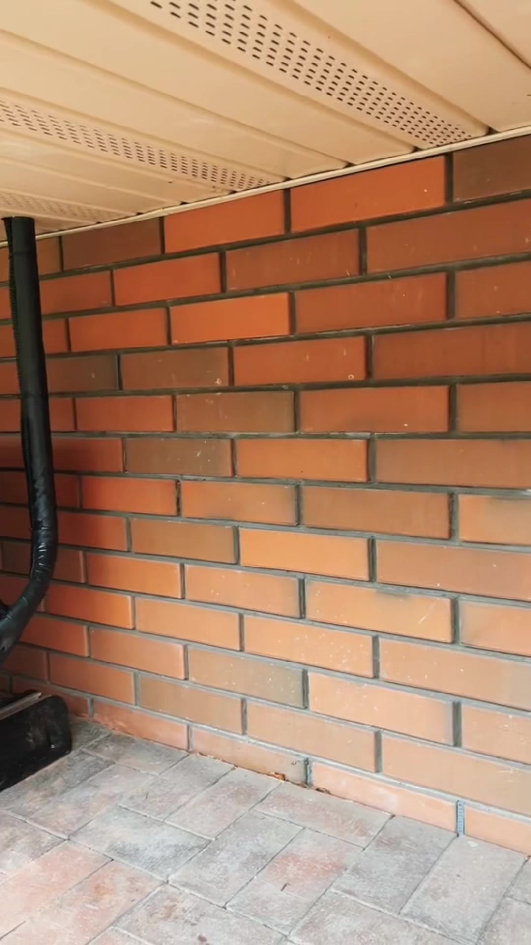 @Пашка_пашка