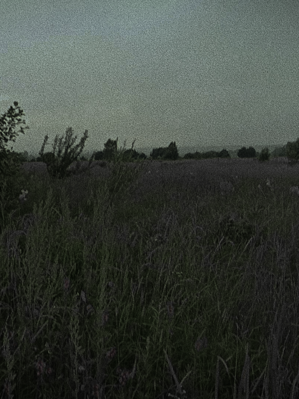 @devastated....