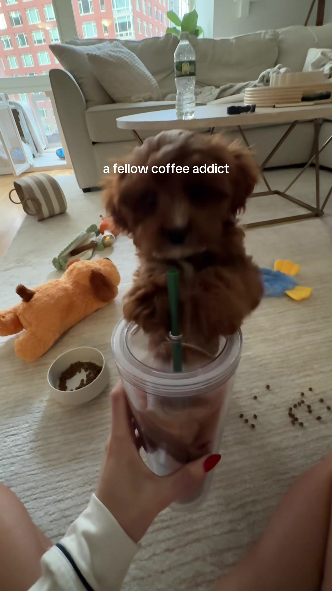 @lennie 🐶