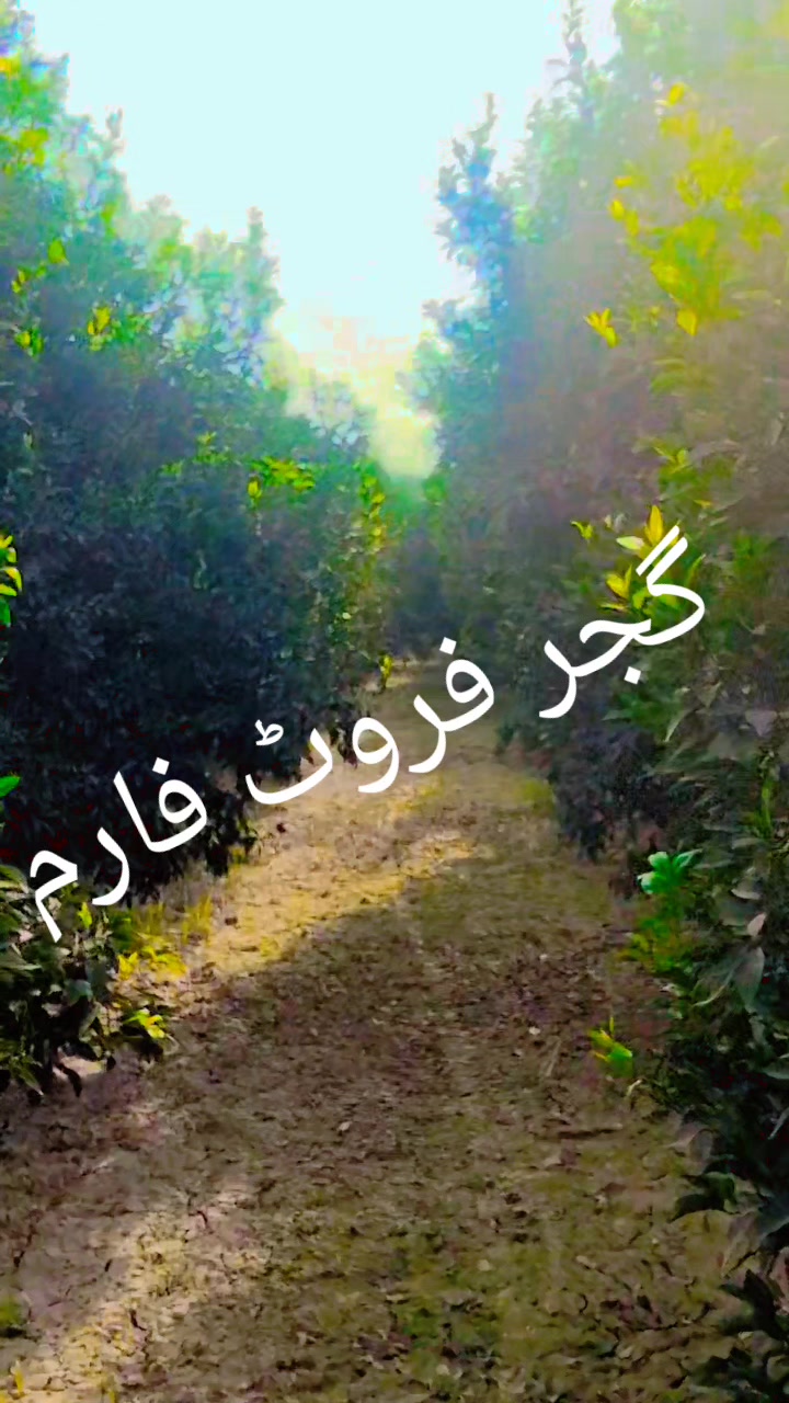 @عمران گجر