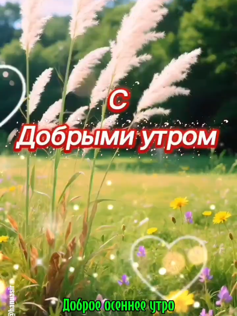 @Александр