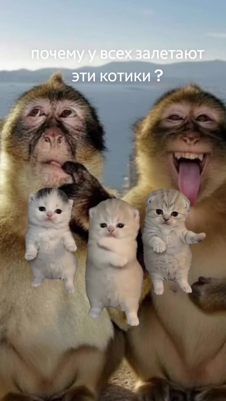 @𝓹𝓪𝓲𝔃𝓸𝓿𝓪