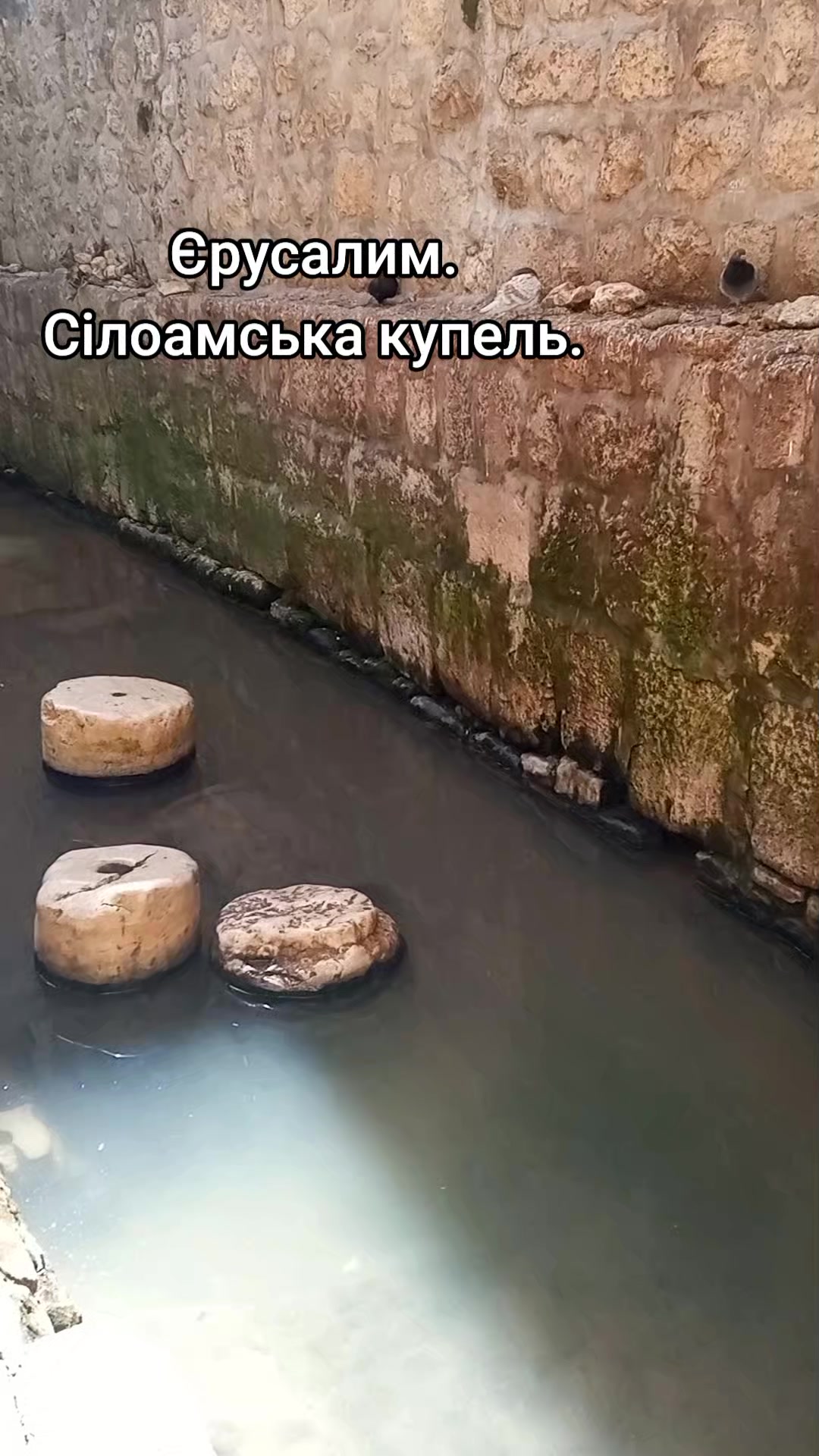 @Olja