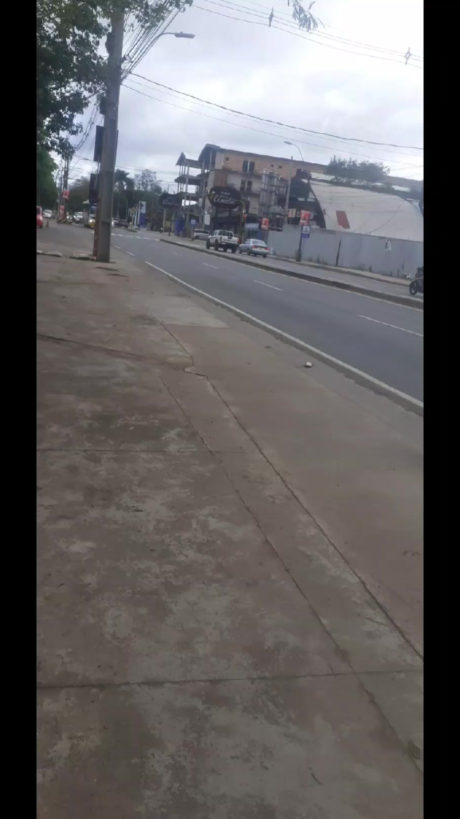 @💯PEDRITO BUSES 🔥 🇵🇾