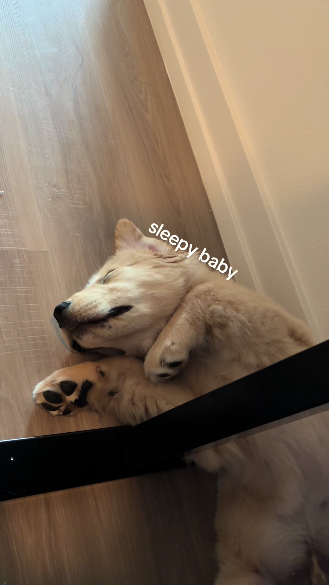 @Luca the Golden