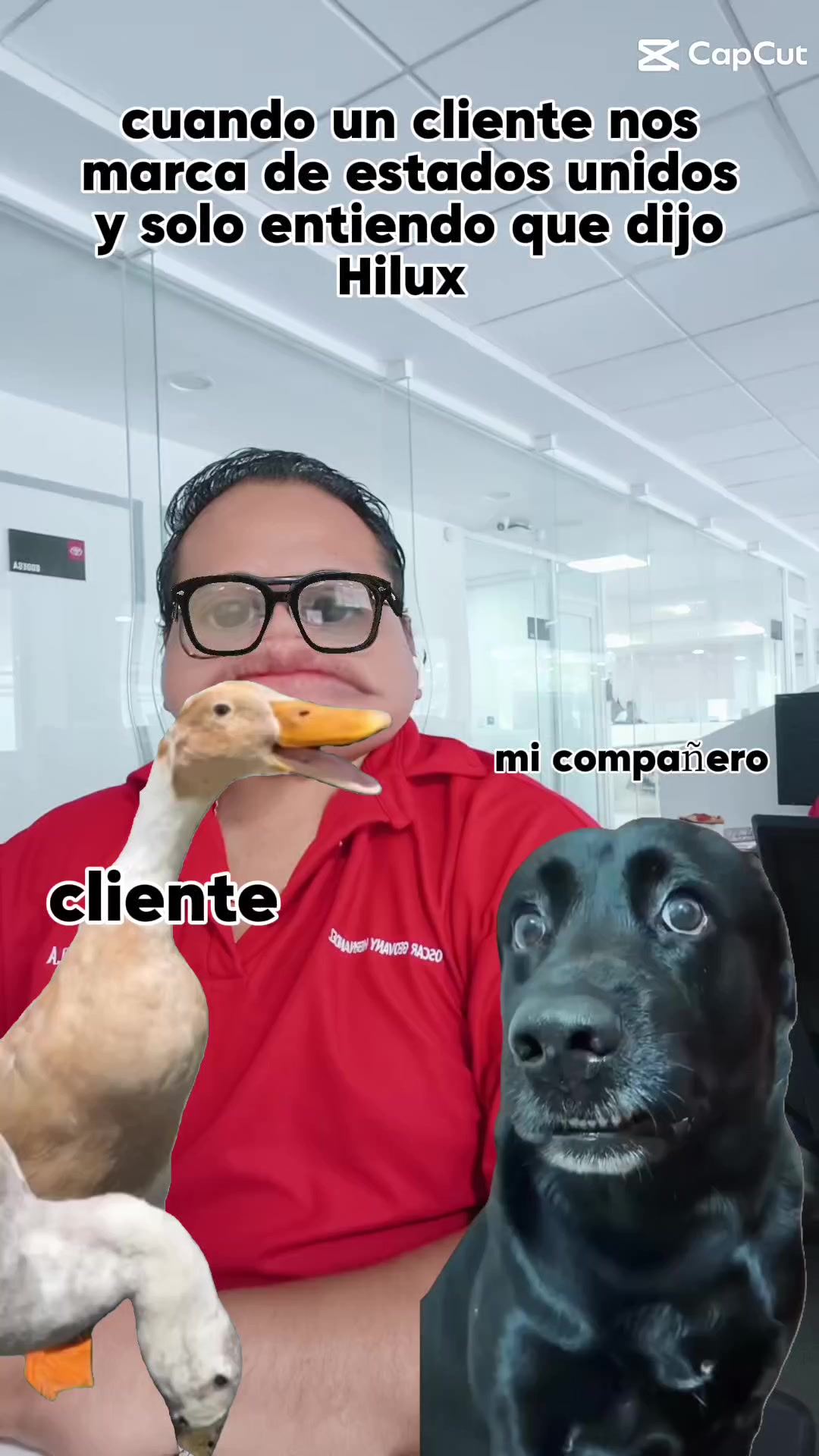 @oscarhernandezasesortoyo