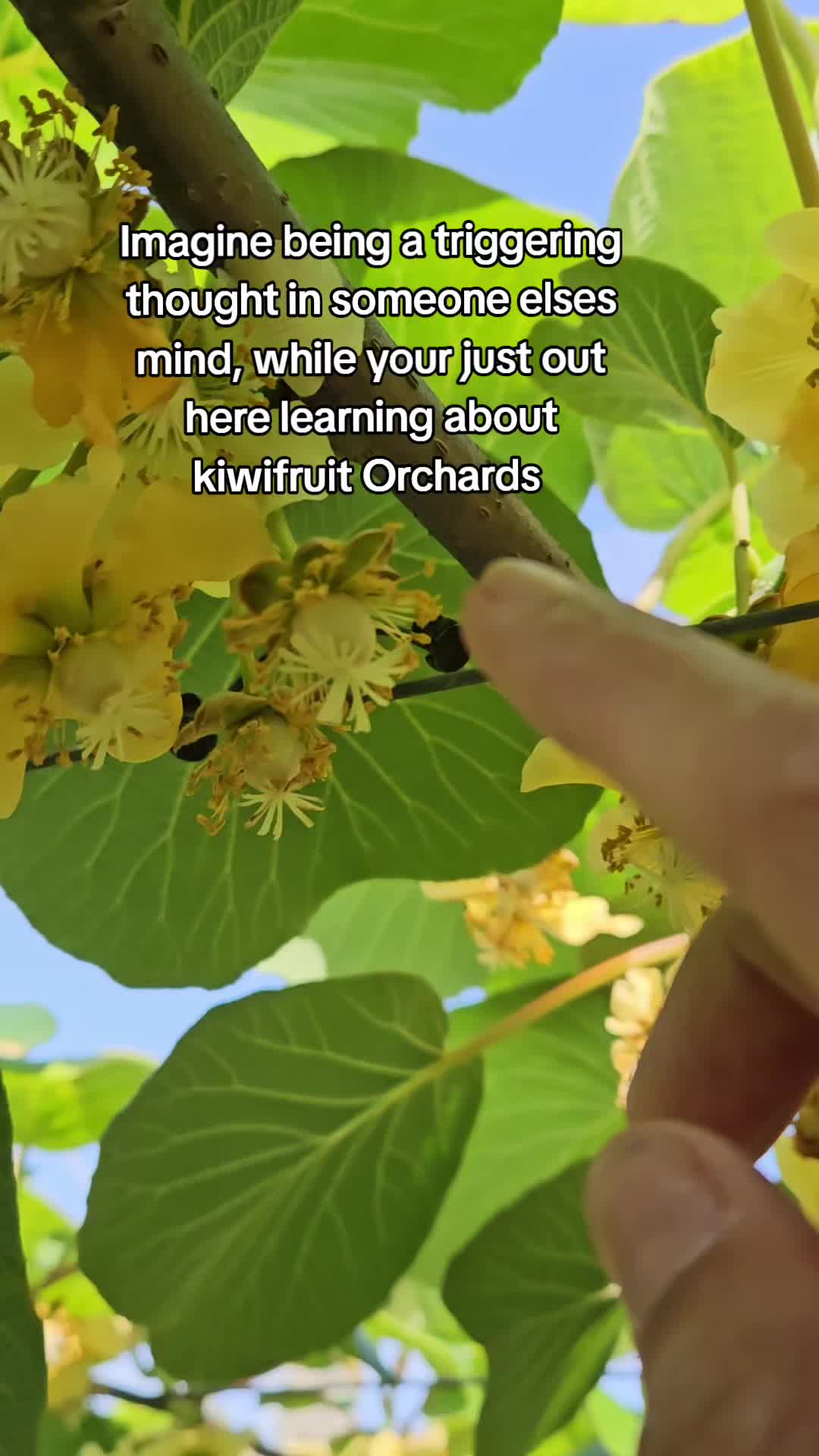 @Dani