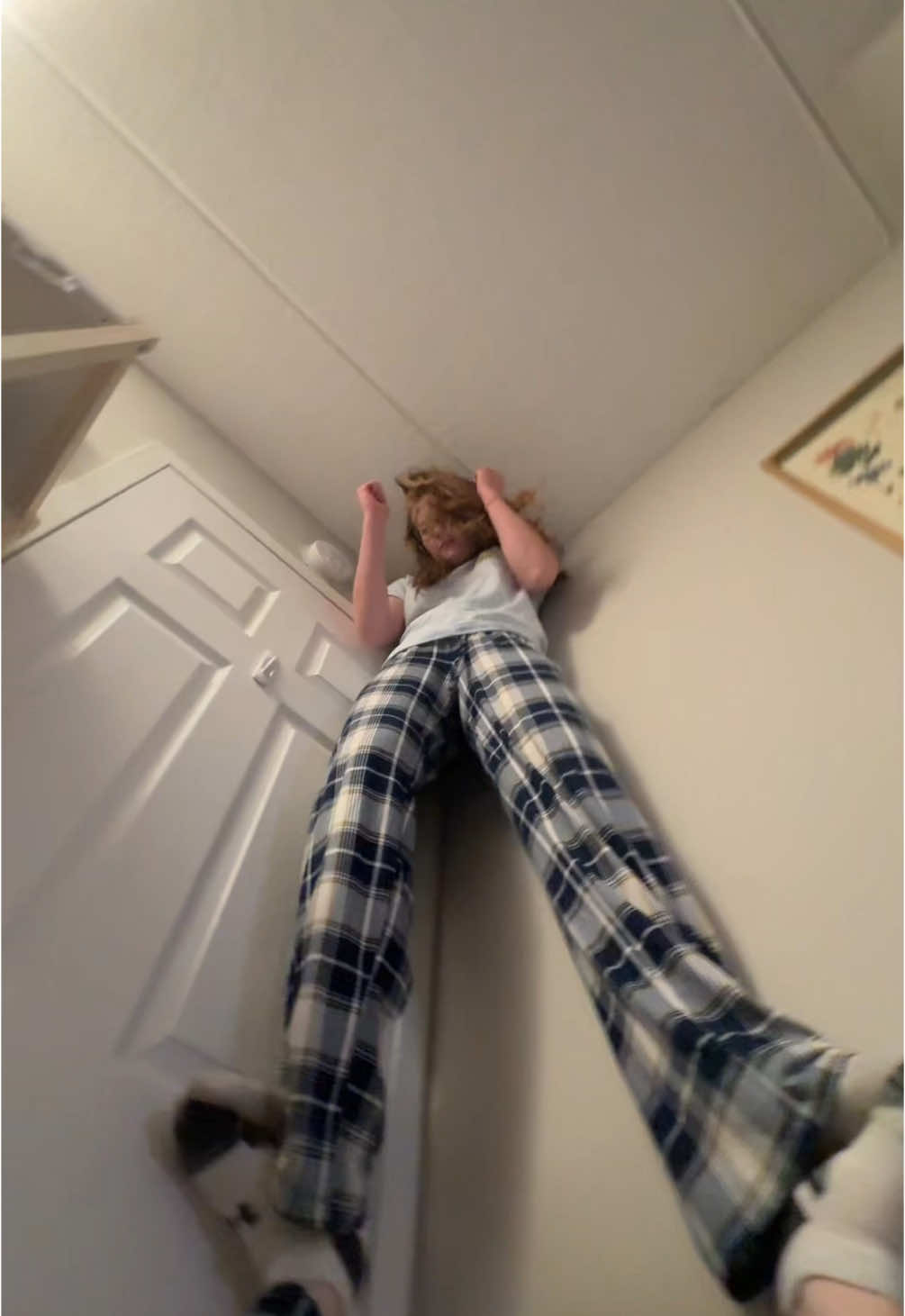 @delaney palmer