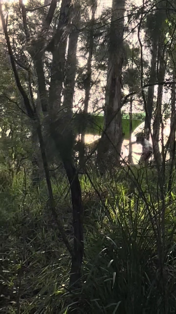 @Nate😮&zwj;💨🎣🍀😮&zwj;💨