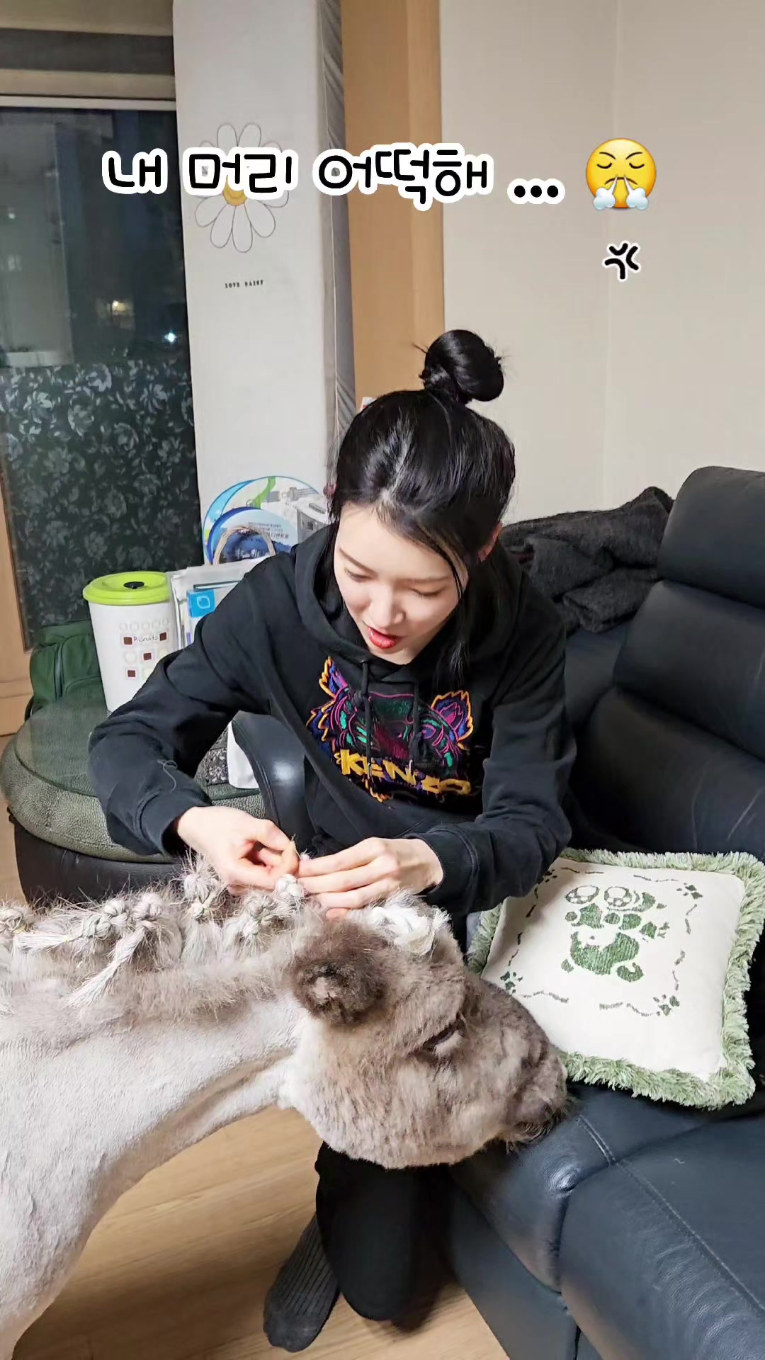 @작은말월리 | 월리플랍🦄