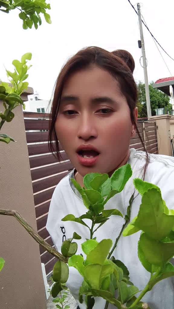 @bini orang