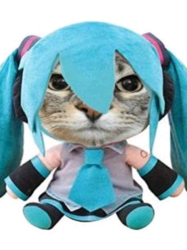 @𝙎𝙠𝙮_𝘿𝙖𝙨𝙝