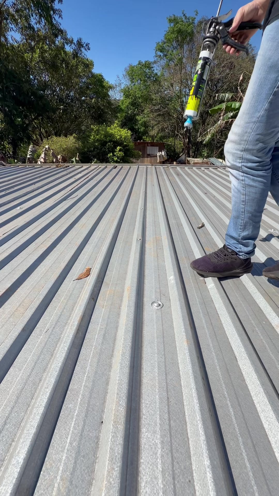 @Veimar Alves - Veipar
