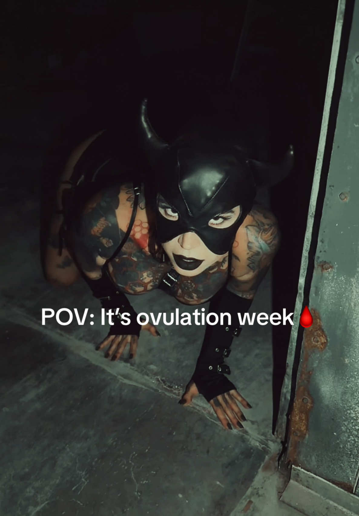 @Bee
