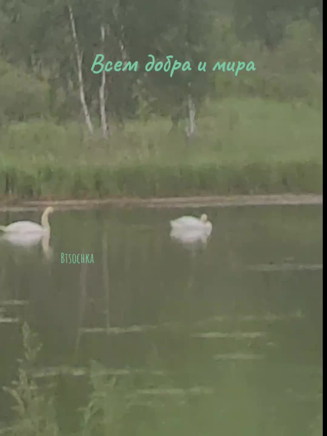 @Btsochka