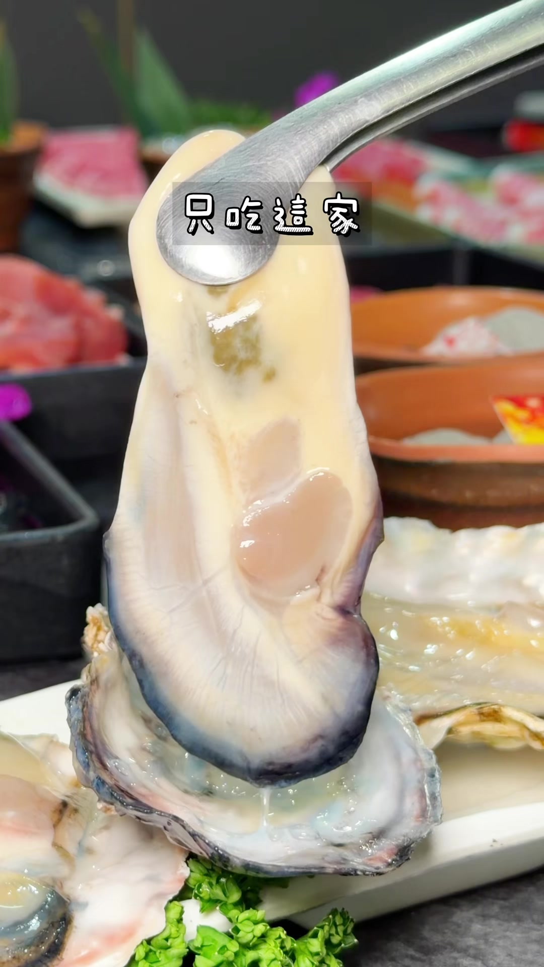 @solo的玩樂指南