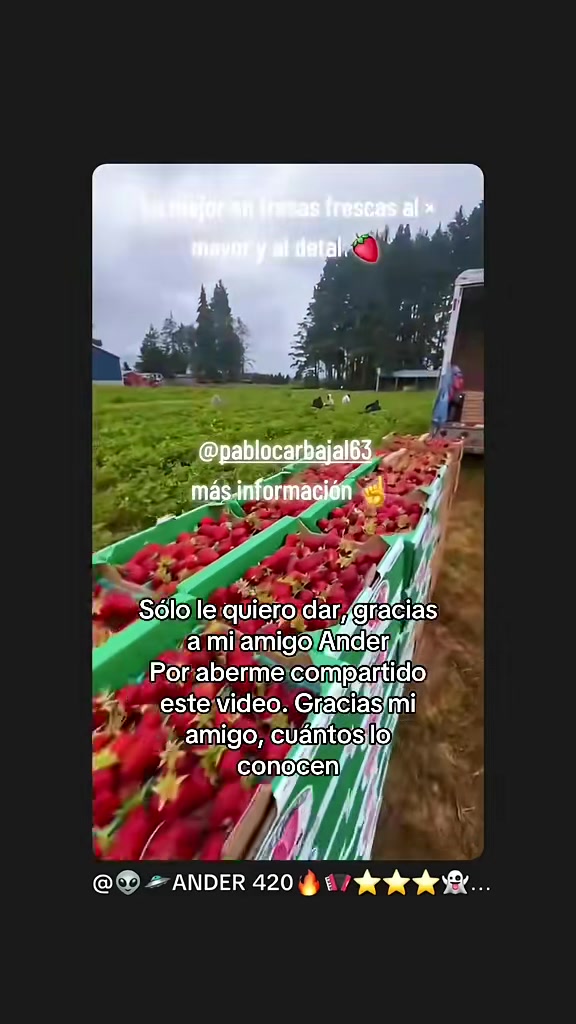 @pablocarbajal63