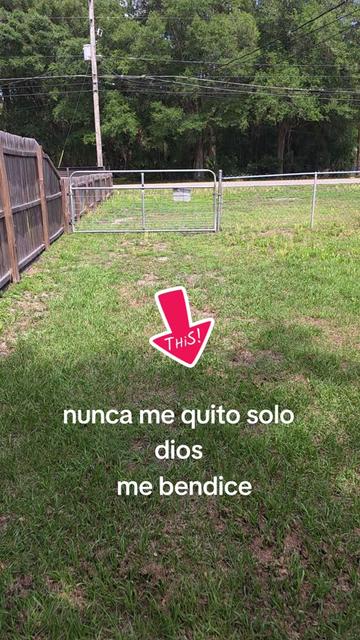 @Daniel del Valle