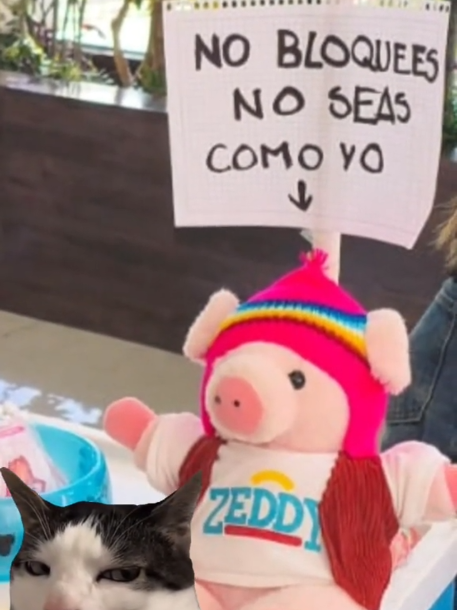@Fundación Unifranz