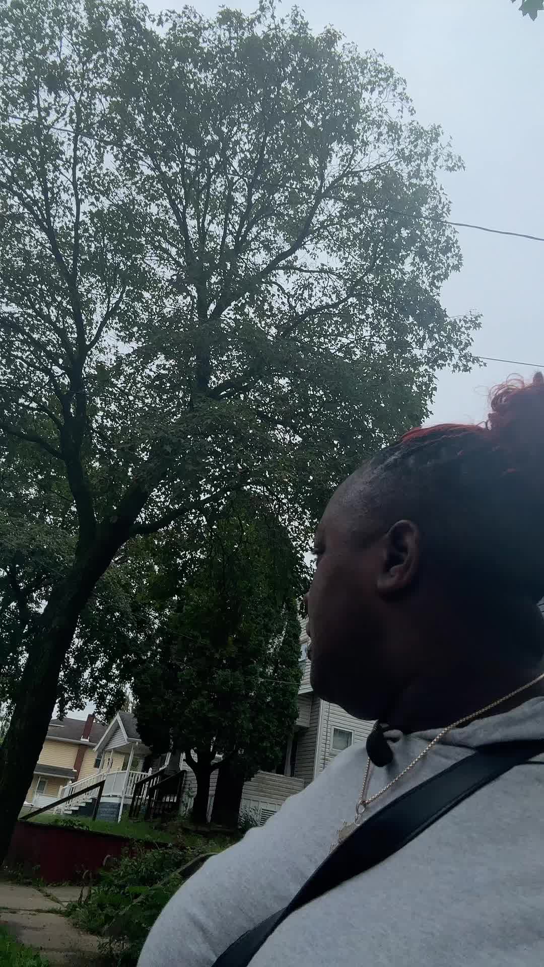 @iambellabeasley