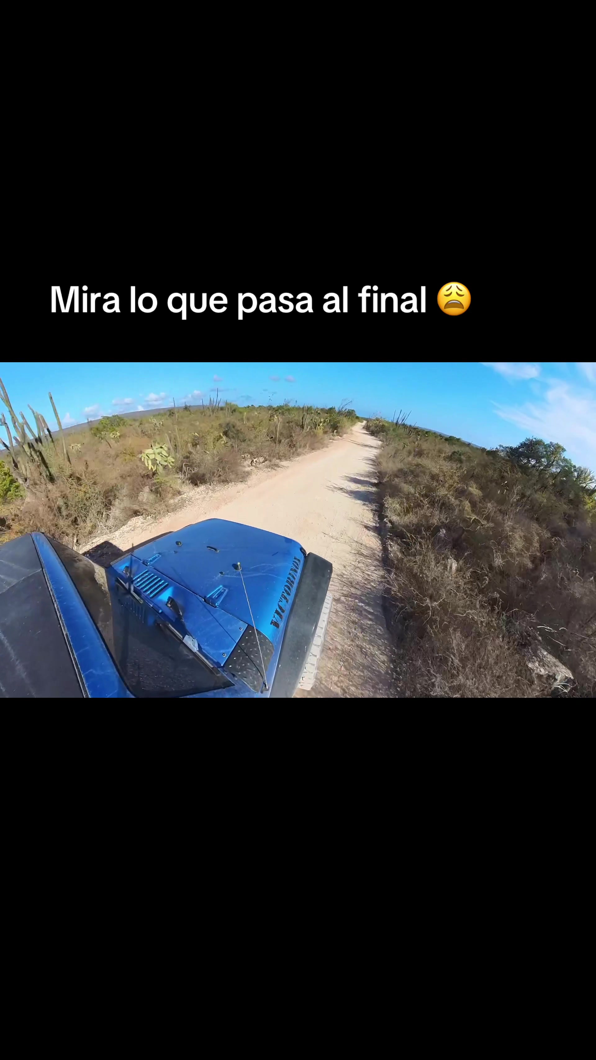 @Ángel